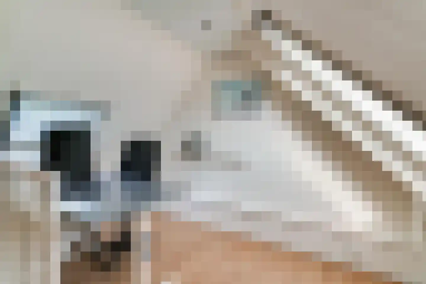 Vethstraat 6 Duiven thumbnail 46