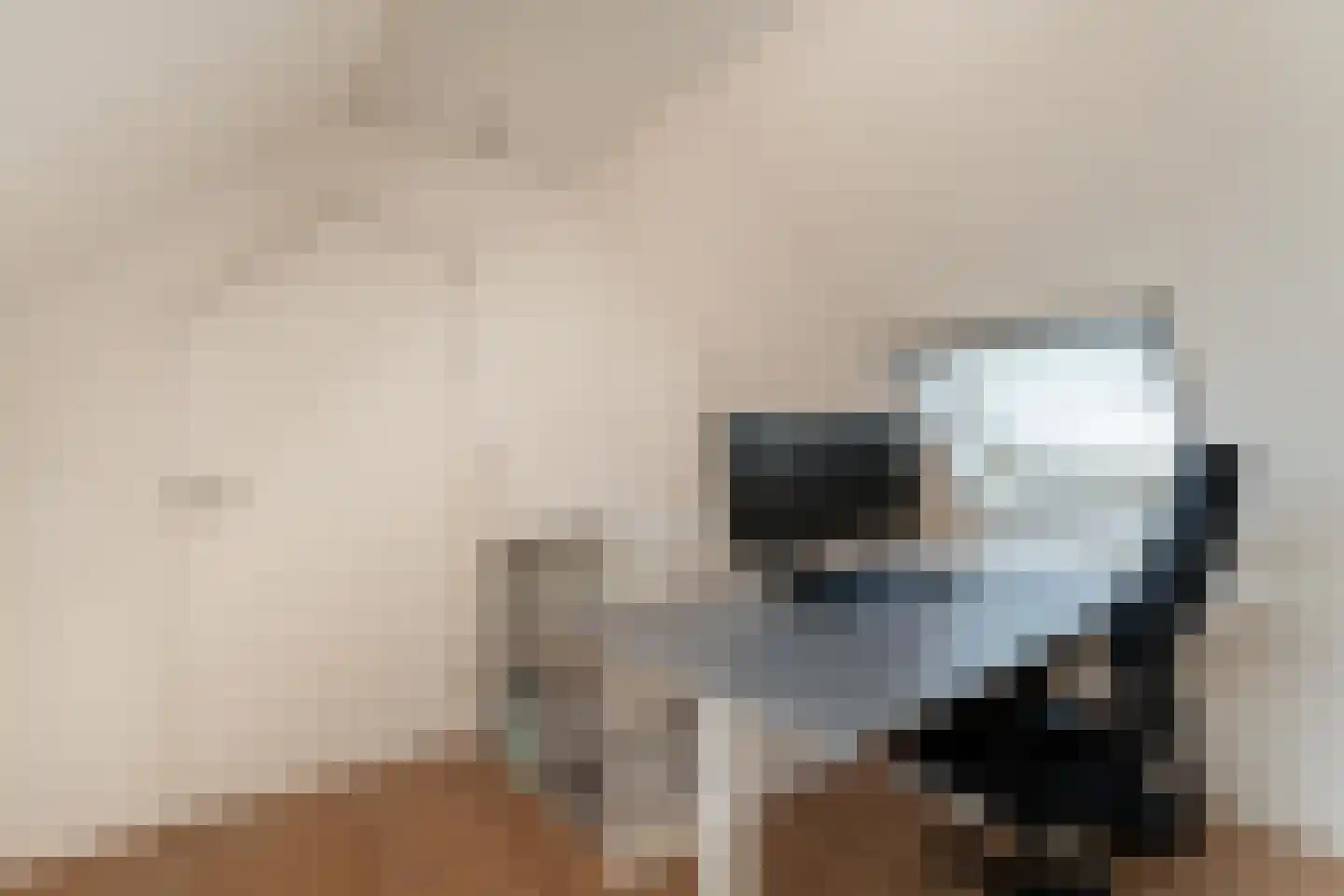 Vethstraat 6 Duiven thumbnail 47
