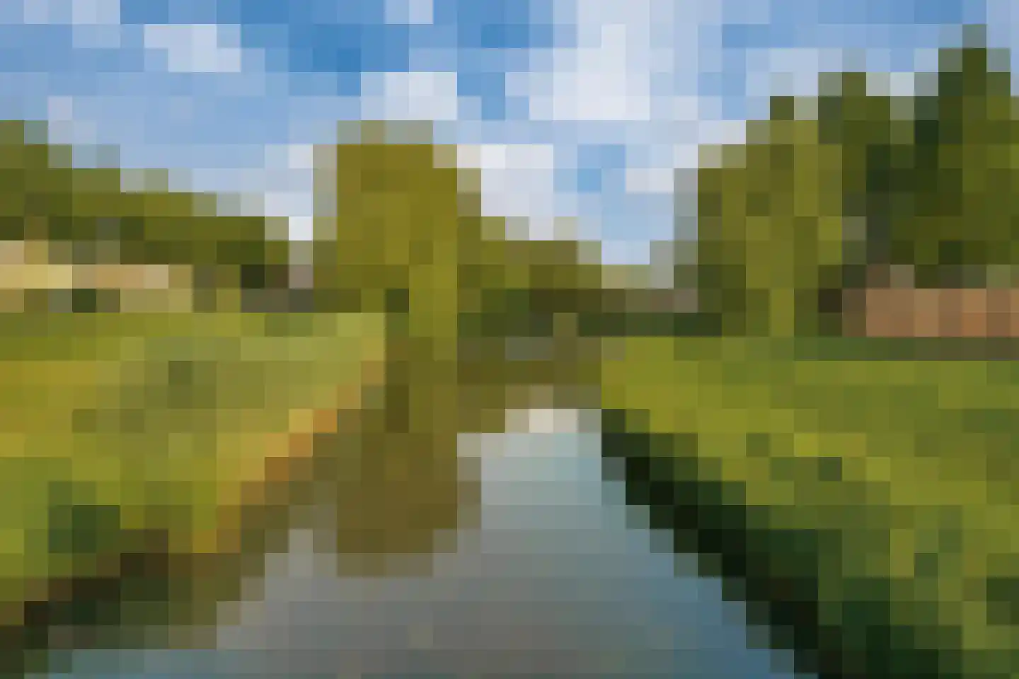 Vethstraat 6 Duiven thumbnail 51
