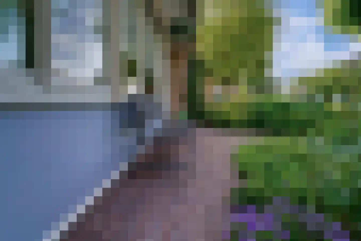 Vethstraat 6 Duiven thumbnail 8