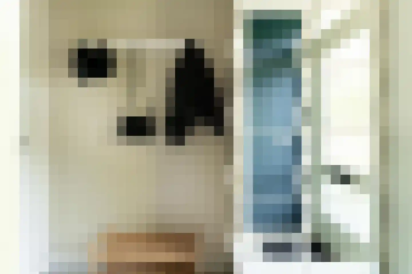 Vethstraat 6 Duiven thumbnail 9