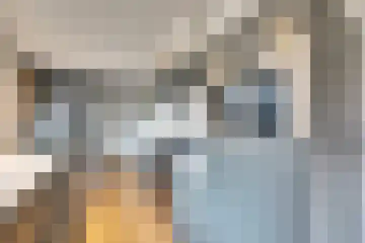 Vetkamp 102 Nijkerk thumbnail 12