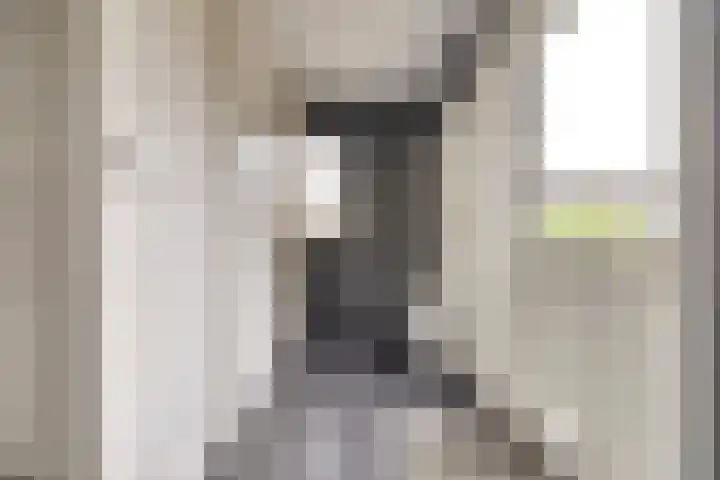 Vetkamp 102 Nijkerk thumbnail 16