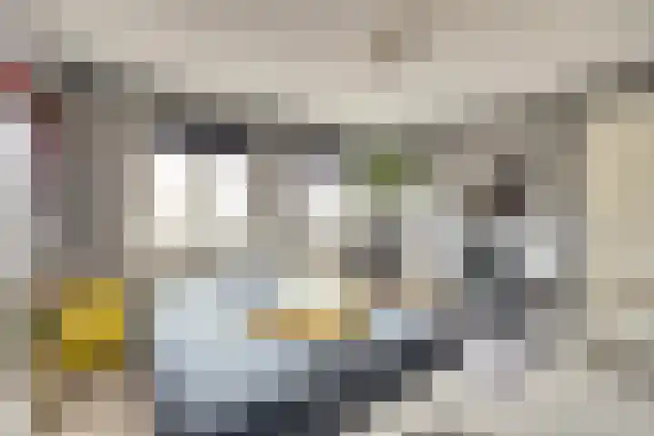 Vetkamp 102 Nijkerk thumbnail 20