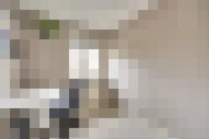 Vetkamp 102 Nijkerk thumbnail 22