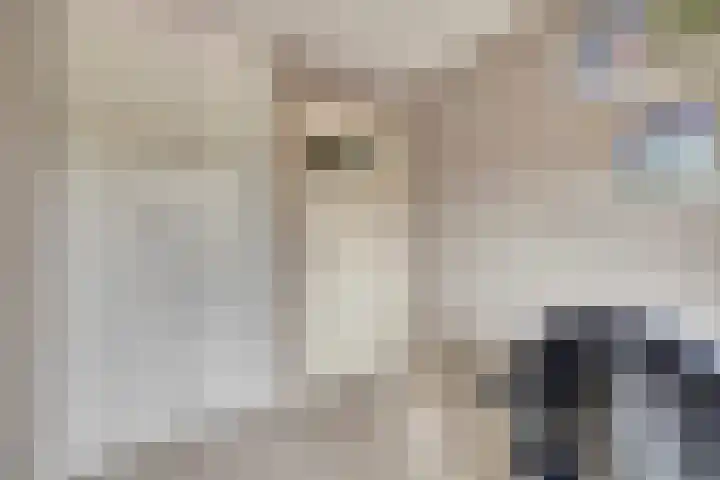 Vetkamp 102 Nijkerk thumbnail 23