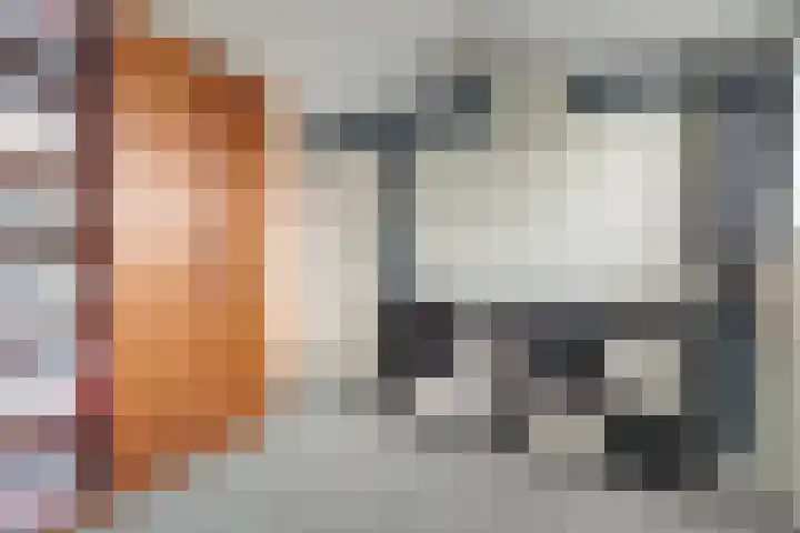Vetkamp 102 Nijkerk thumbnail 28