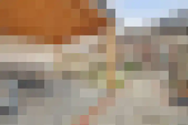 Vetkamp 102 Nijkerk thumbnail 34