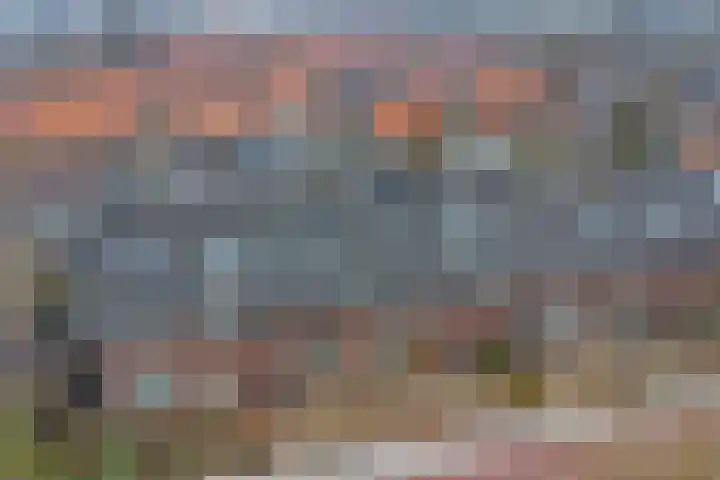 Vetkamp 102 Nijkerk thumbnail 38