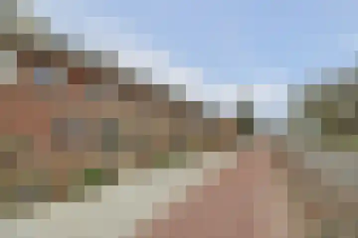 Vetkamp 102 Nijkerk thumbnail 41