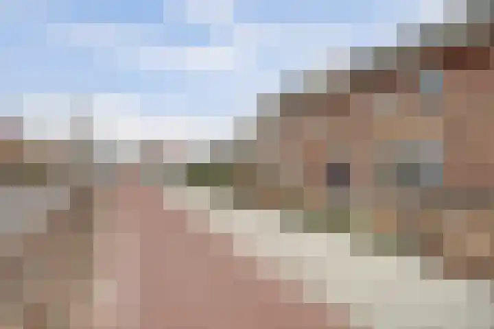Vetkamp 102 Nijkerk thumbnail 42
