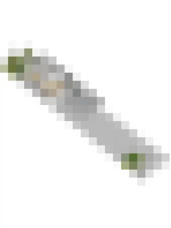 Vetkamp 102 Nijkerk thumbnail 49