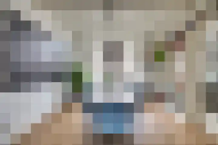 Vetkamp 102 Nijkerk thumbnail 7