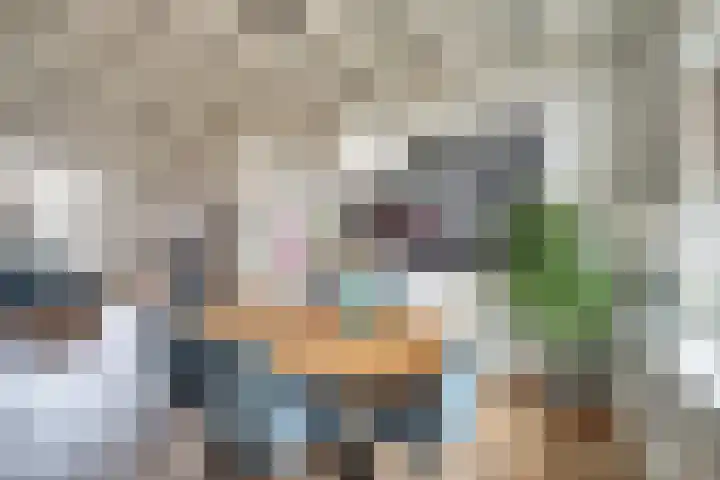Vetkamp 102 Nijkerk thumbnail 8