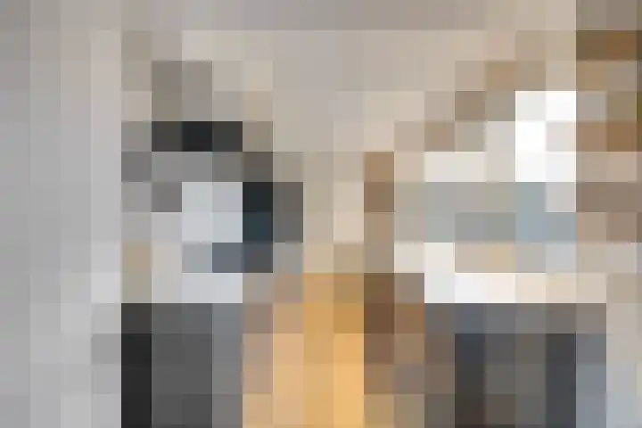 Vetkamp 102 Nijkerk thumbnail 9