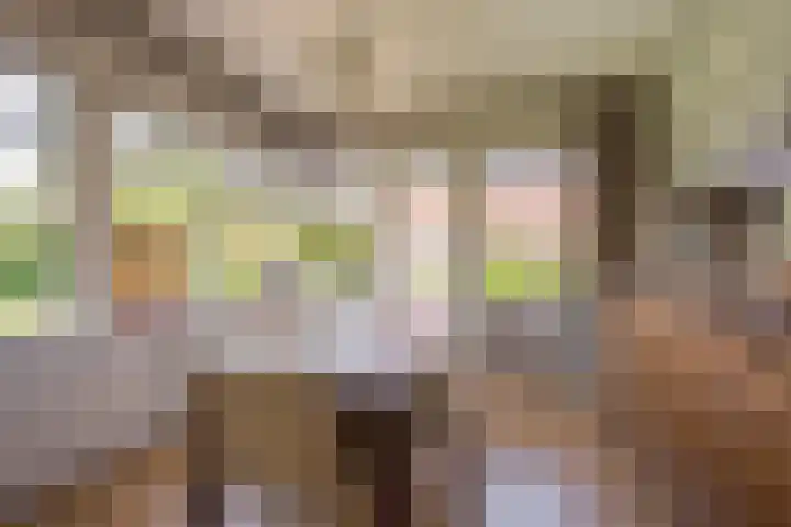 Vetkamp 112 Nijkerk thumbnail 11