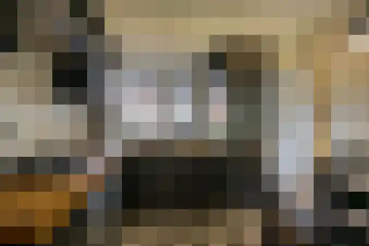 Vetkamp 112 Nijkerk thumbnail 14