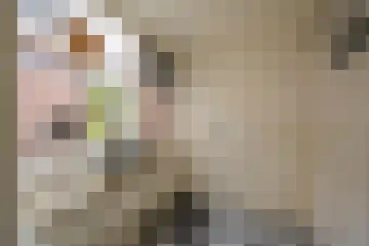 Vetkamp 112 Nijkerk thumbnail 16