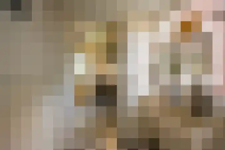 Vetkamp 112 Nijkerk thumbnail 17