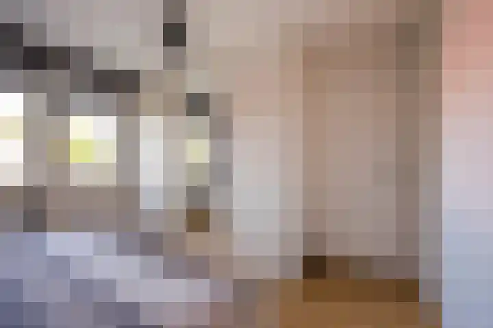 Vetkamp 112 Nijkerk thumbnail 24