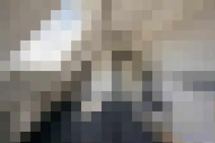Vetkamp 112 Nijkerk thumbnail 31