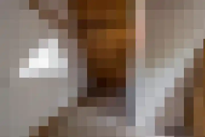Vetkamp 112 Nijkerk thumbnail 32
