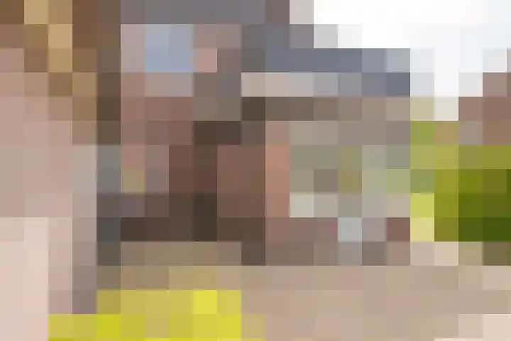 Vetkamp 112 Nijkerk thumbnail 33
