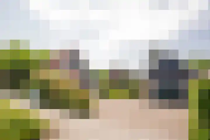 Vetkamp 112 Nijkerk thumbnail 36