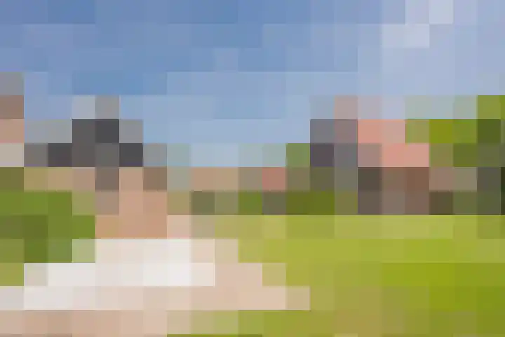 Vetkamp 112 Nijkerk thumbnail 37