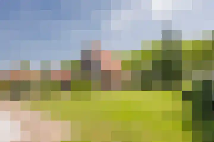 Vetkamp 112 Nijkerk thumbnail 38
