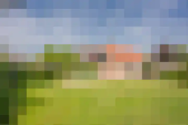 Vetkamp 112 Nijkerk thumbnail 40