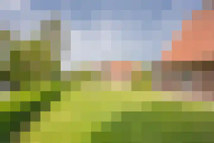 Vetkamp 112 Nijkerk thumbnail 41