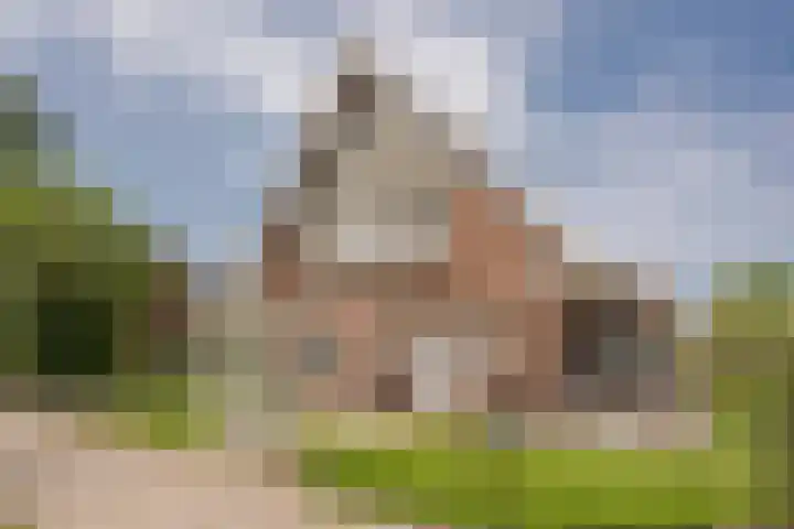 Vetkamp 112 Nijkerk thumbnail 42