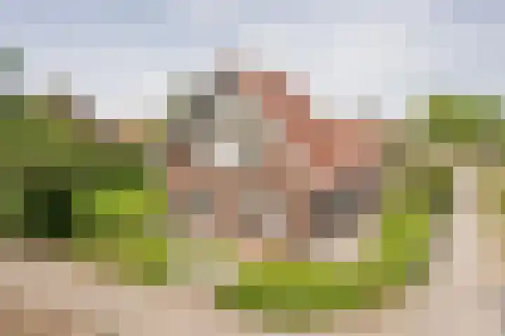 Vetkamp 112 Nijkerk thumbnail 43