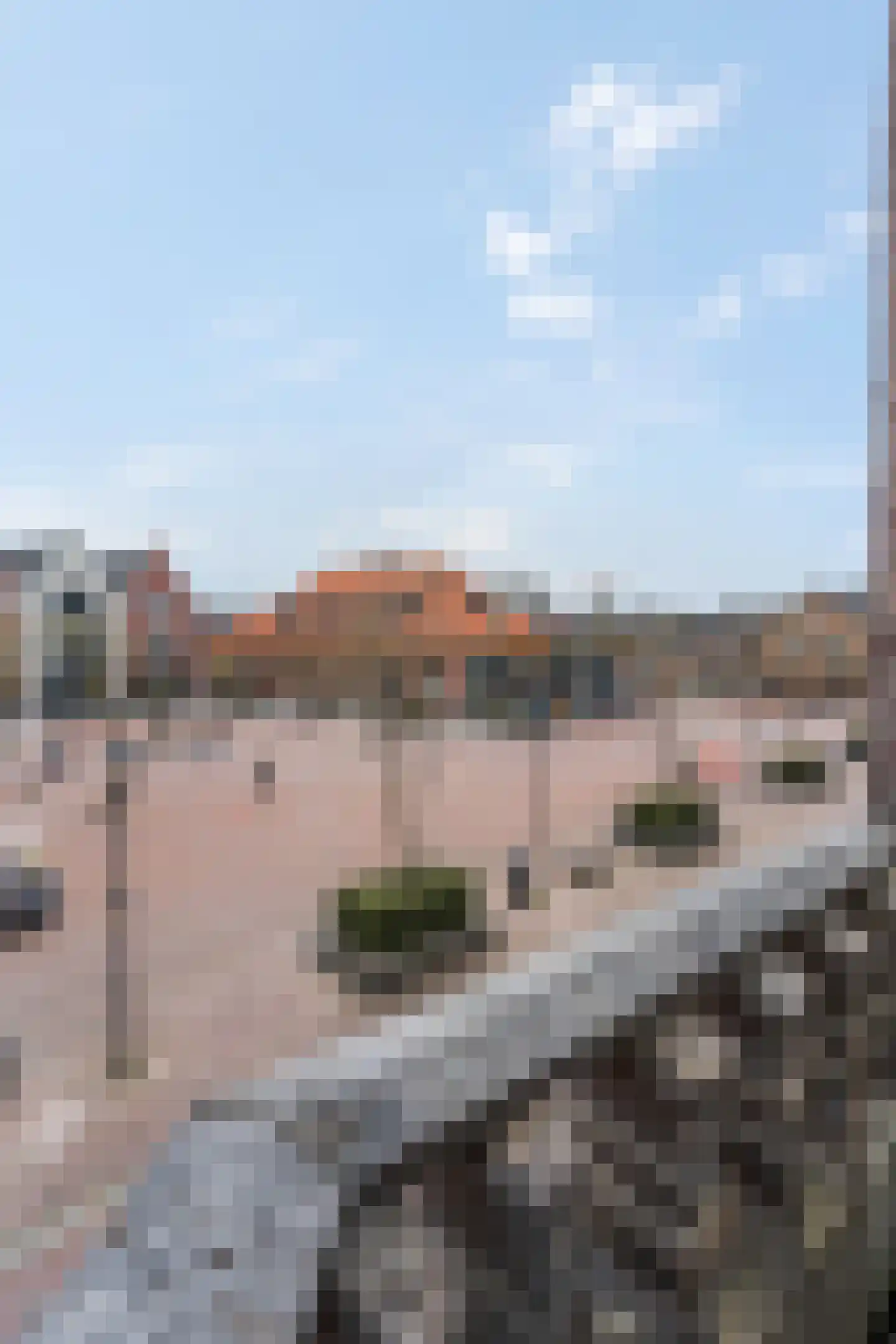 Vetkamp 18 Nijkerk thumbnail 36