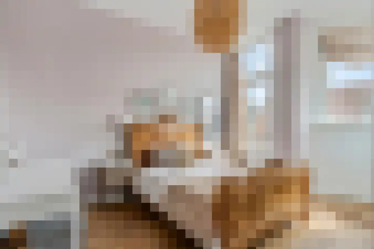 Vetkamp 18 Nijkerk thumbnail 37