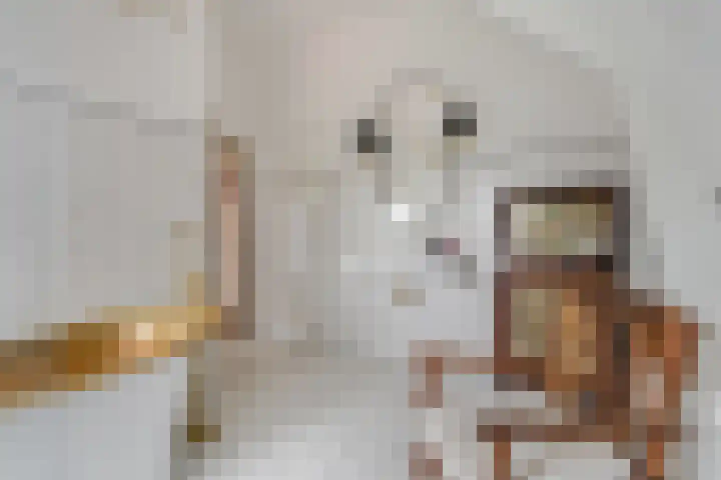 Vetkamp 18 Nijkerk thumbnail 41