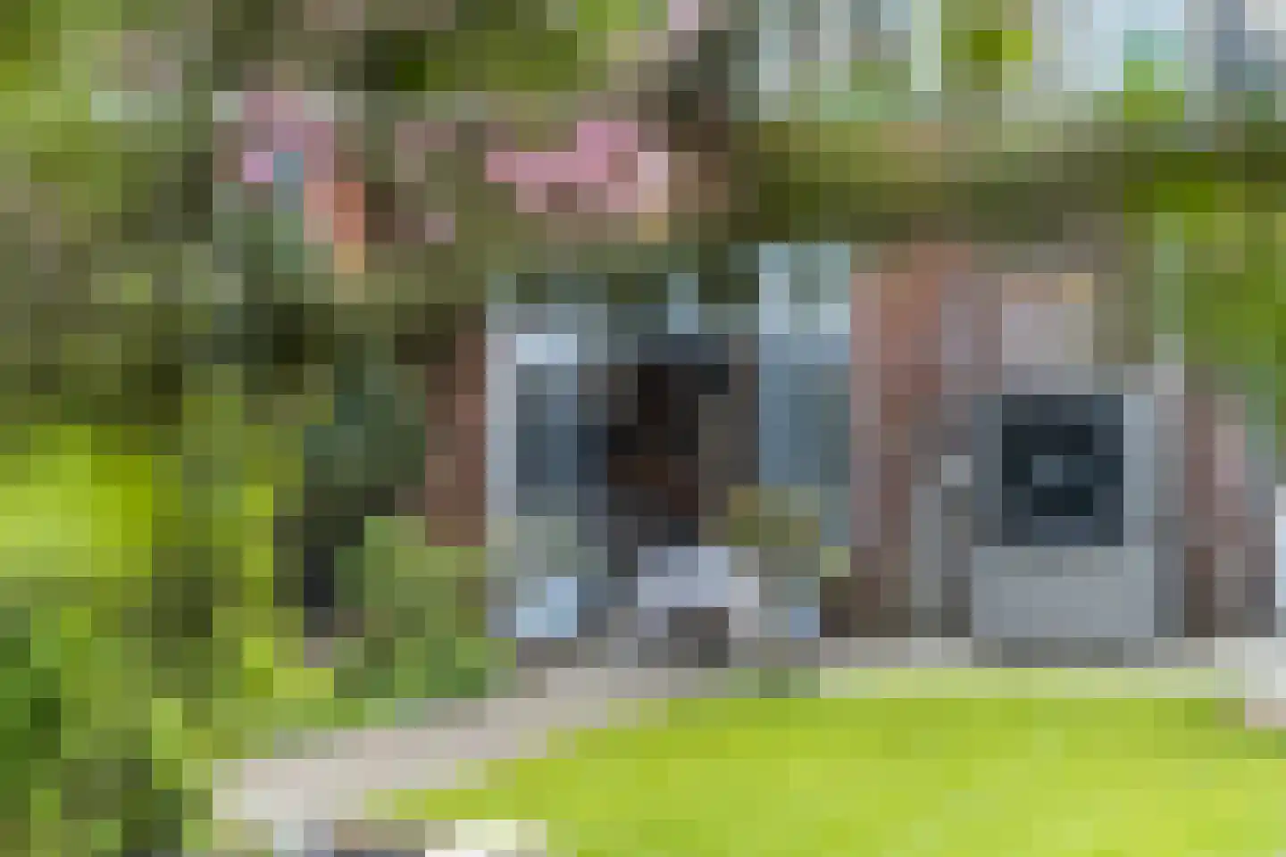 Vetkamp 18 Nijkerk thumbnail 51
