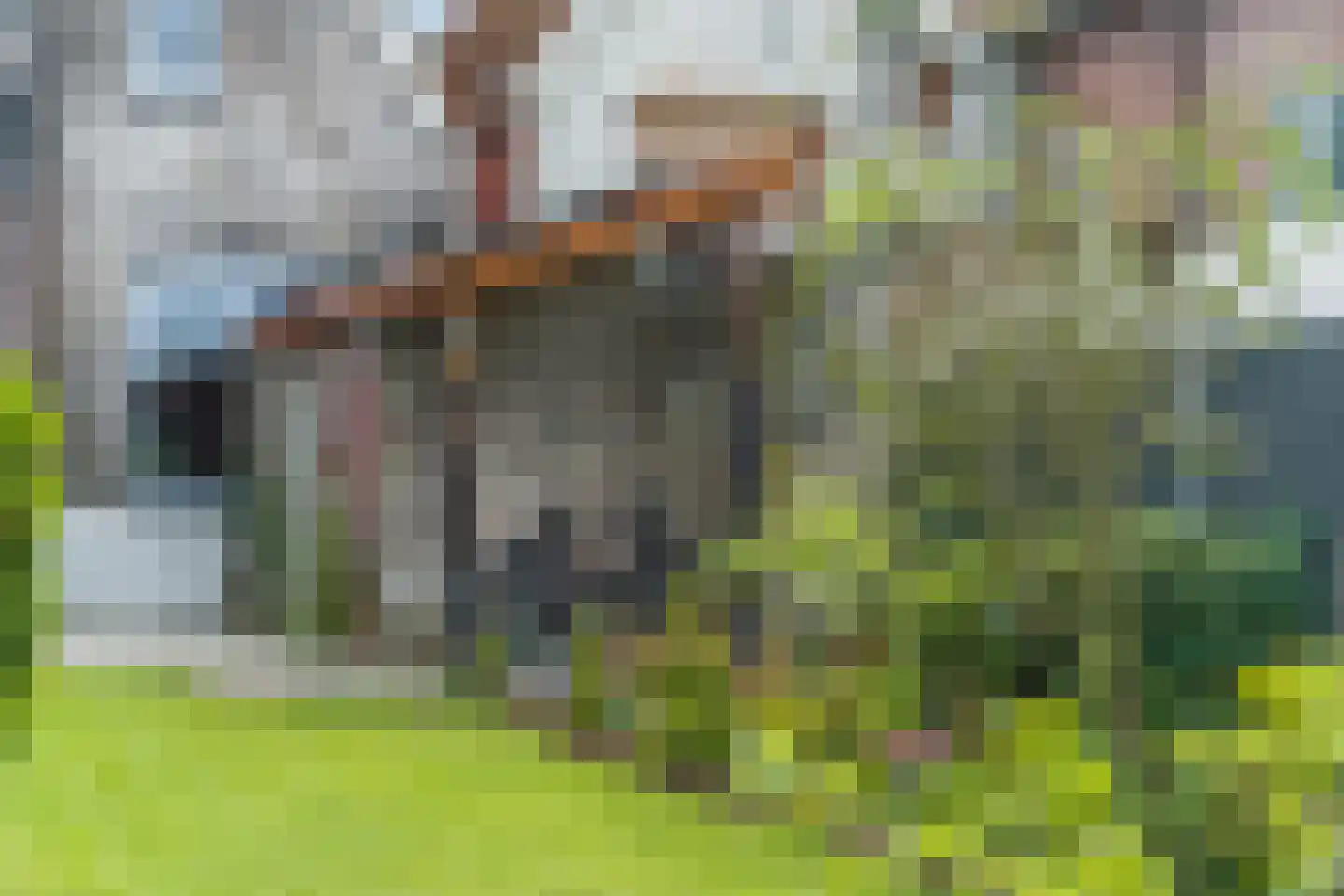 Vetkamp 18 Nijkerk thumbnail 53