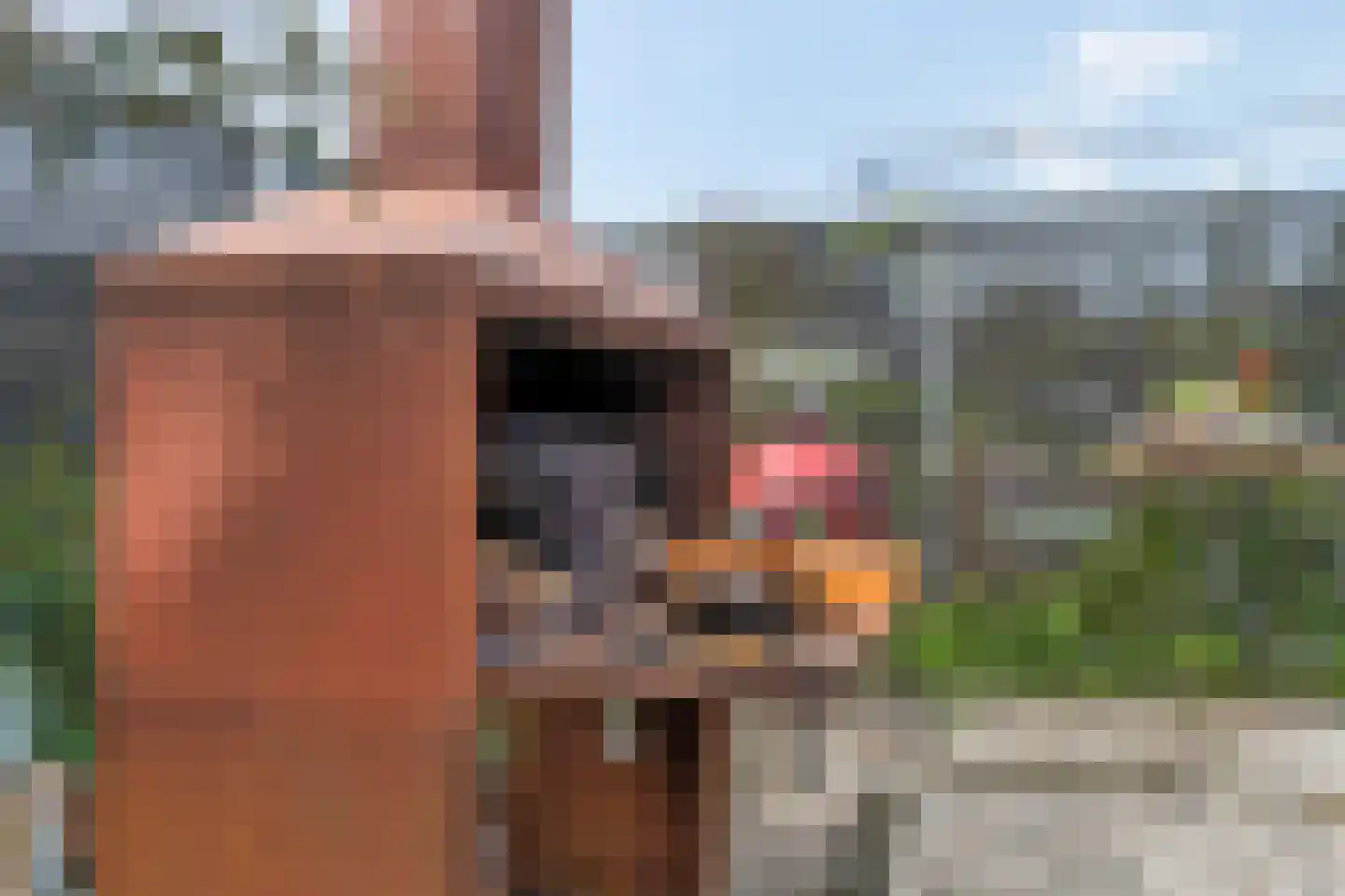 Vetkamp 18 Nijkerk thumbnail 62