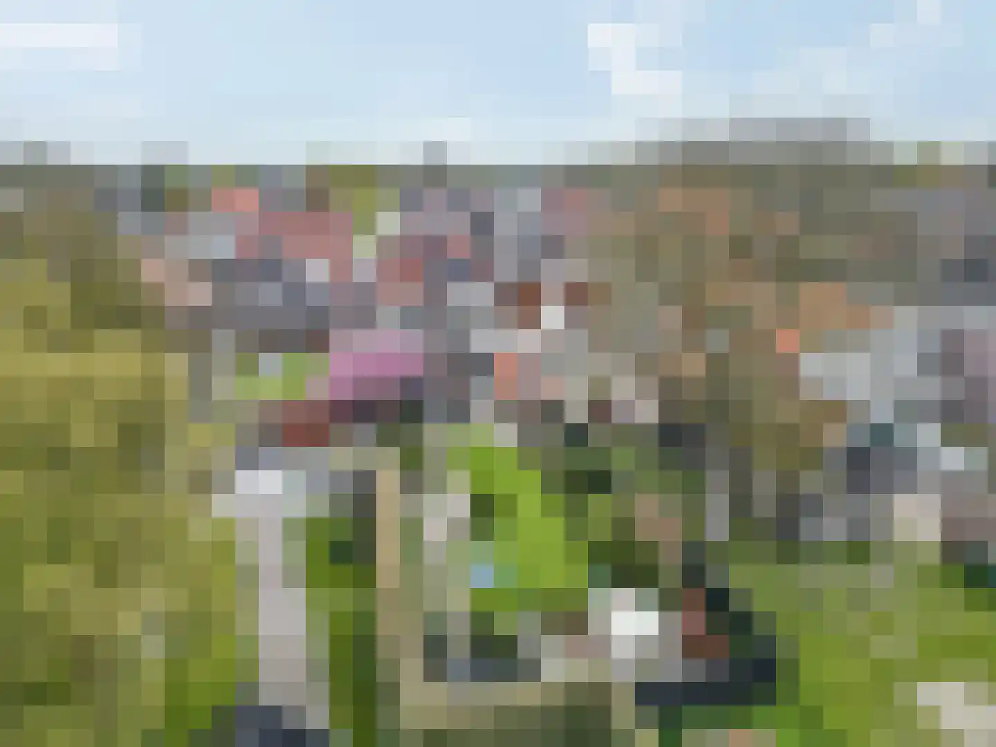 Vetkamp 18 Nijkerk thumbnail 69