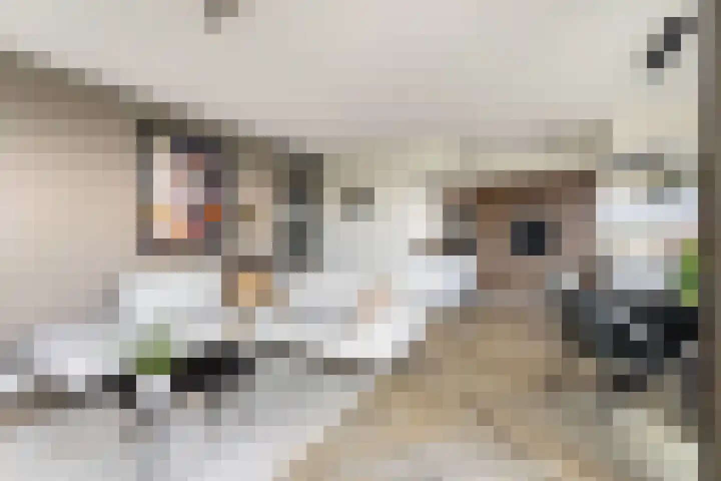 Vetkamp 239 Nijkerk thumbnail 22