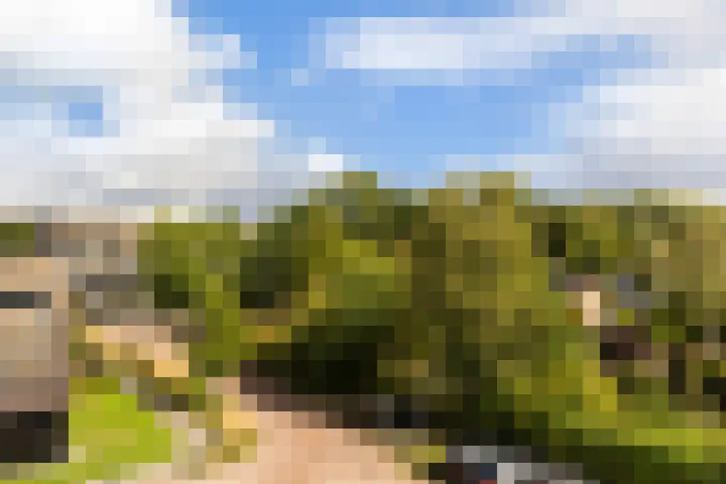Vetkamp 239 Nijkerk thumbnail 31