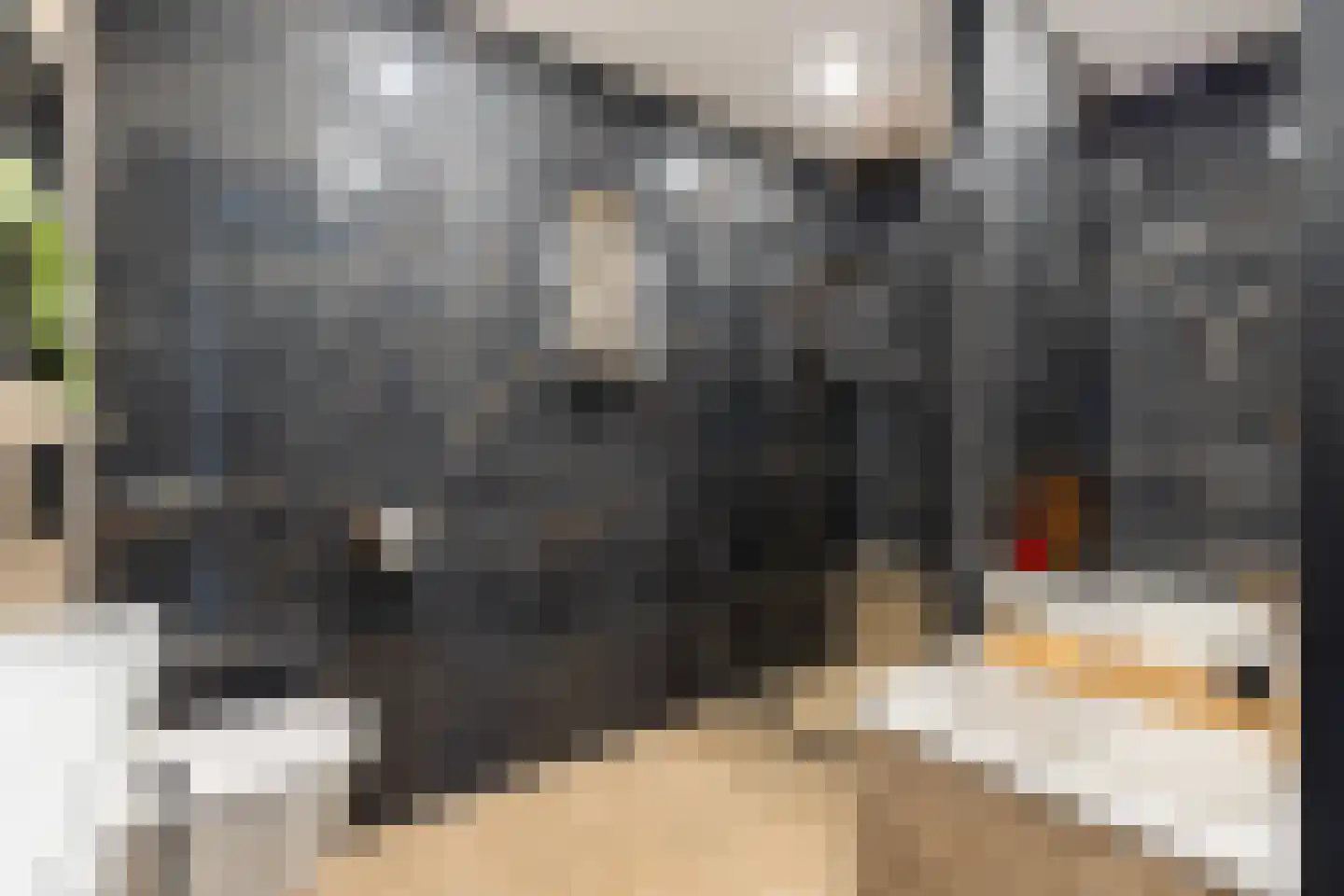 Vetkamp 239 Nijkerk thumbnail 7