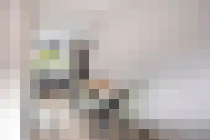 Vetkruid 14 Amersfoort thumbnail 10