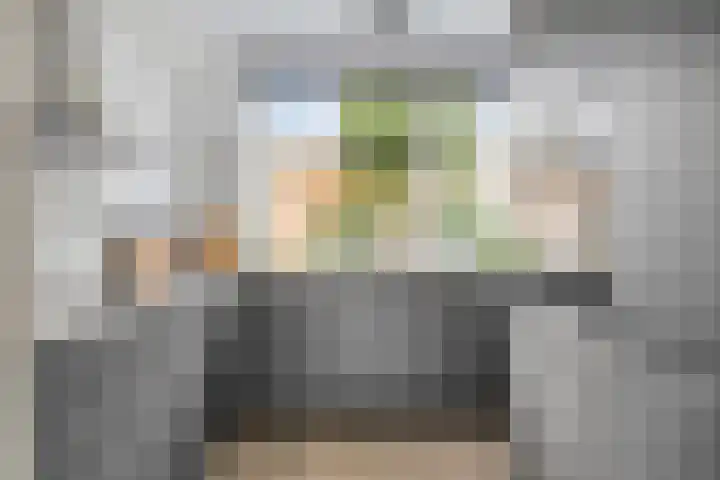 Vetkruid 14 Amersfoort thumbnail 11