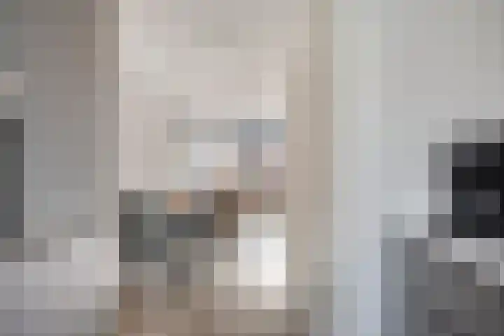 Vetkruid 14 Amersfoort thumbnail 12