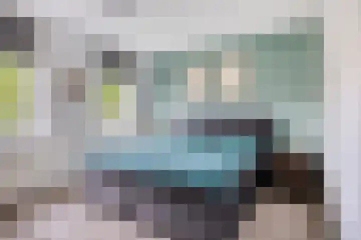 Vetkruid 14 Amersfoort thumbnail 14