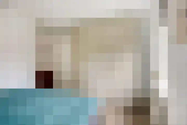 Vetkruid 14 Amersfoort thumbnail 15