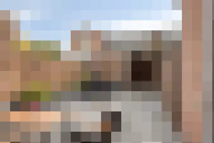 Vetkruid 14 Amersfoort thumbnail 22